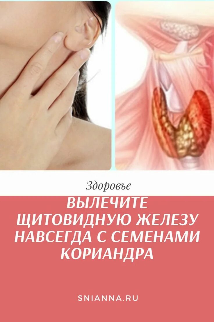 Как вылечить щитовидку. Как вылечить щитовидную железу.