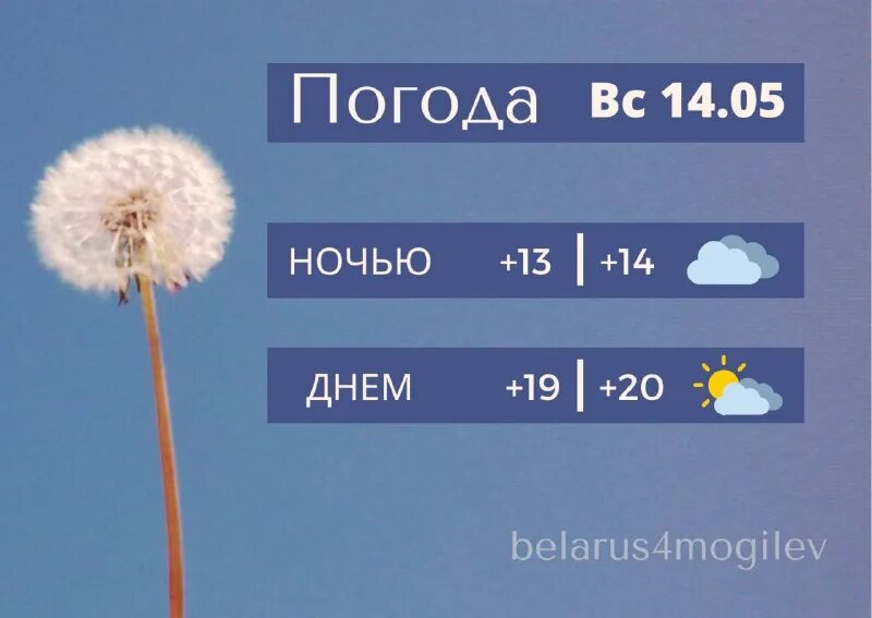 Беларусь 4 могилев. Беларусь 4 могилев