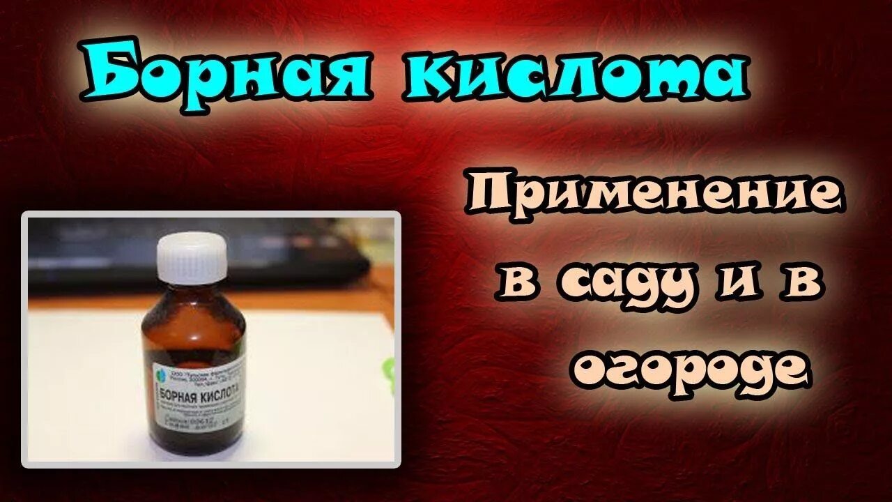 Борная кислота развести водой. Борная кислота жидкая для томатов. Жидкий раствор борной кислоты для томатов. Борная кислота в жидком виде для помидоров. Борная кислота для растений в жидком виде.