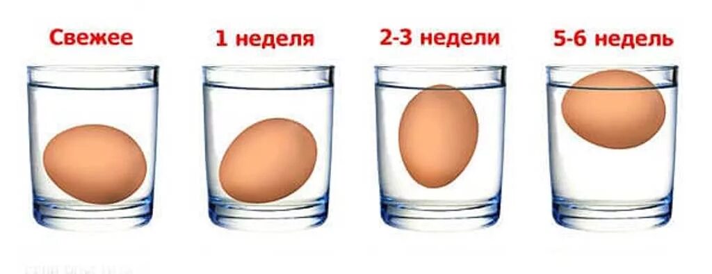 Как отличить свежее. Проверка срока годности яиц. Свежее яйцо в соленой воде. Определить свежесть яиц. Свежесть яиц в воде.