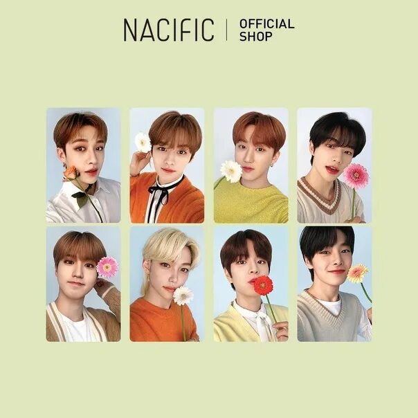 Nacific Stray Kids карты. Карточка Минхо Stray Kids. Официальные карточки Stray Kids. Карточка Феликса Stray Kids.