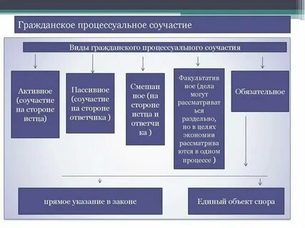 Процессуальное соучастие понятие основания