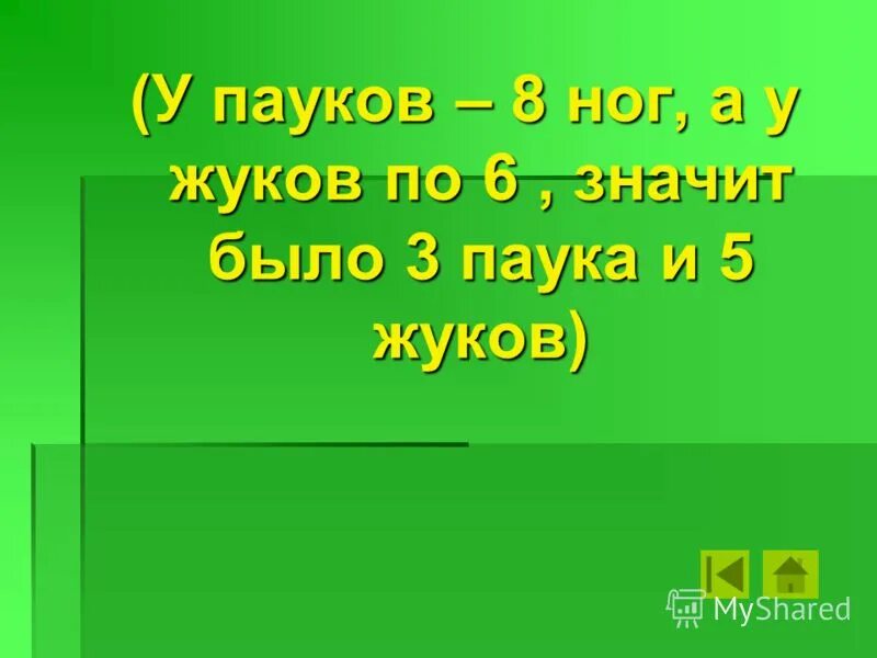 8 пауков и жуков