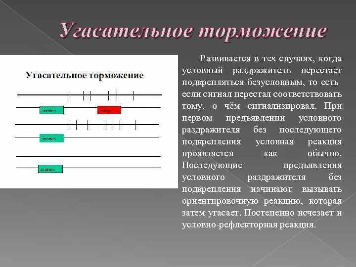 Угасательное торможение. Явление торможения в высшей нервной деятельности. угасательное торможение механизм.