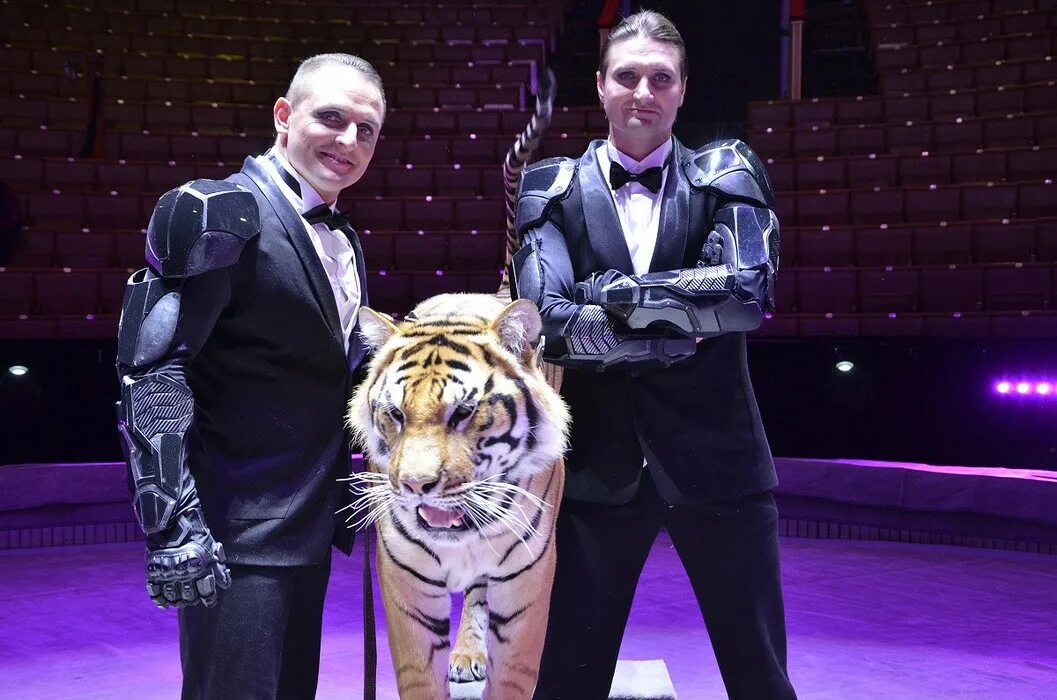 Эдгард эдгард и аскольд запашные. Циркачи братья запашные. Братья циркачи. Братья циркачи. Артисты цирка братьев запашных.