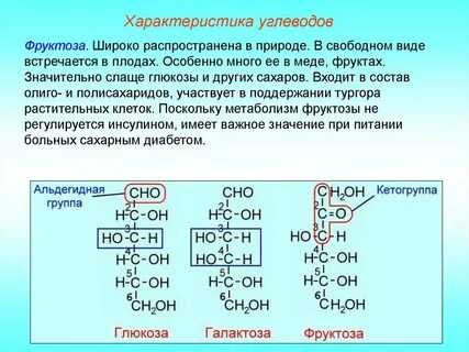 Фруктоза входит в состав полисахаридов