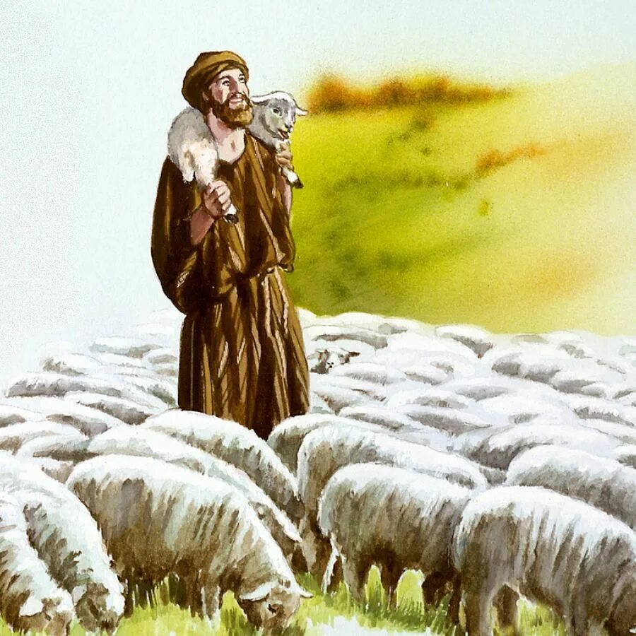 Пасу овечек. Пастух Чабан. Чабан пастух Кавказ. Чабан пасёт овец иллюстрации. Пастух Ширак Легенда.