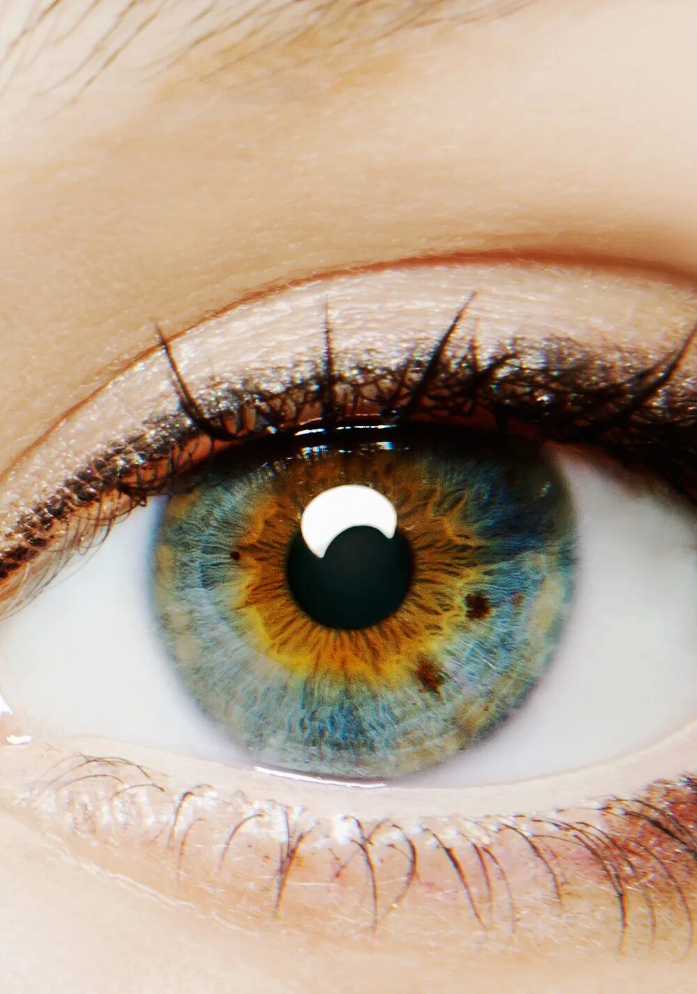 Origin first. Я начало i Origins 2014. I Origins 2014 Постер.