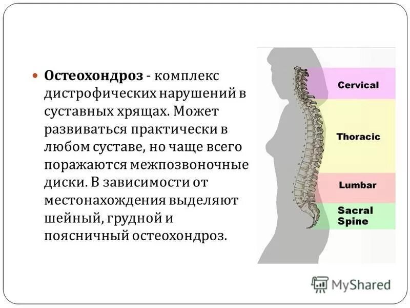 Основные симптомы остеохондроза шейного отдела. Период обострения шейного остеохондроза. Остеохондроз шейного отдела обострение. Гимнастика для позвоночника при остеохондрозе 1 степени. Шейный остеохондроз.