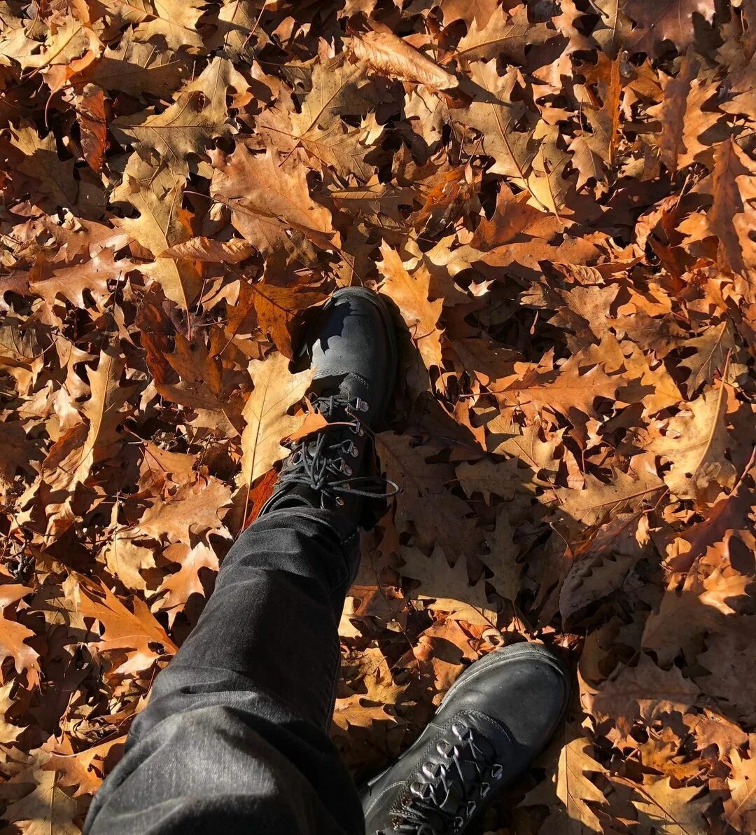 Fall like