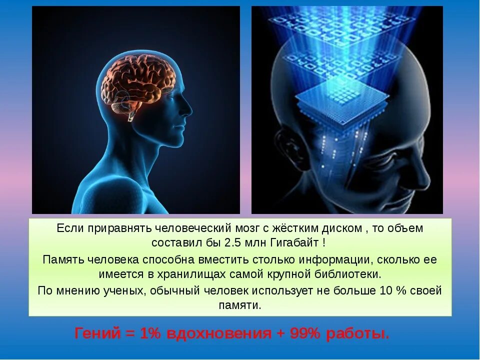 Чем отличается память человека от памяти животного. Способности человеческого мозга. Мозг и информация. Мозг память. Емкость памяти человеческого мозга.