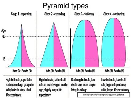 Population pyramid