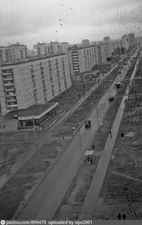 Москва право лет