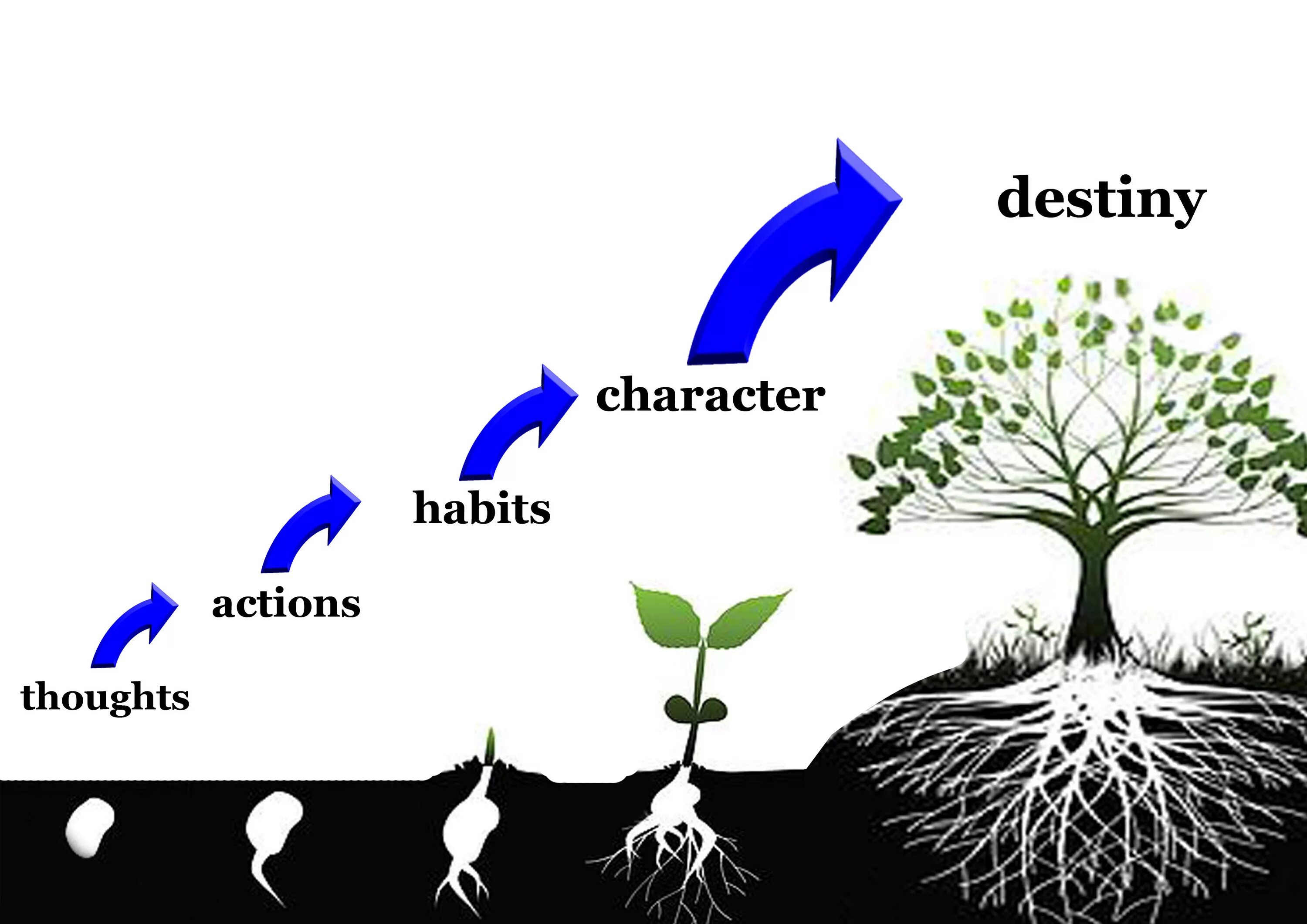 Мысль слово действие. Мысль слово действия привычка характер. Мысли привычки характер судьба. Thought Action Habit character Destiny.