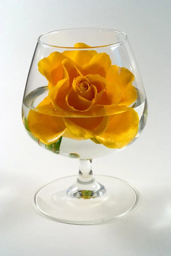 («розы в хрустальном бокале»; 1882—1883; глазго, собрание гау). Картинки бокал с цветами. Ваза с цветами. Цветы в фужере. Розы в вазе.