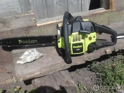 Partner poulan