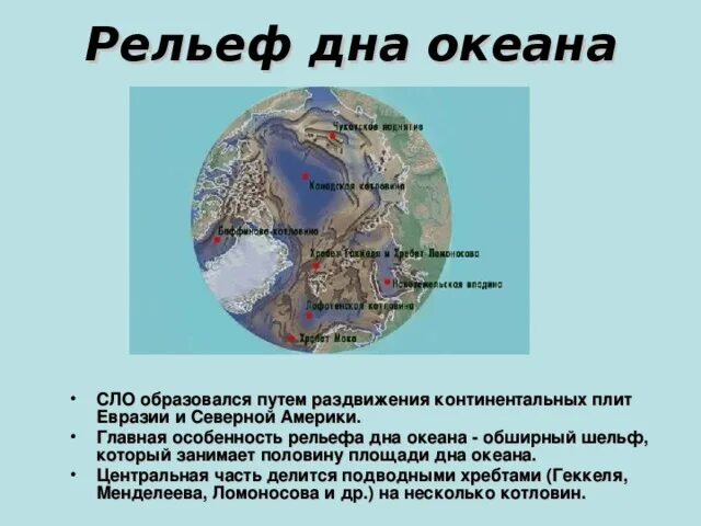 Какой океан занимает половину. Какой океан занимает половину