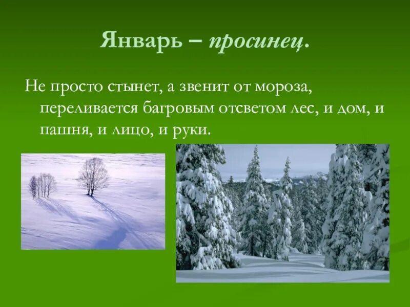 Просинец праздник 21 января. Январь просинец. просинец праздник. просинец у славян. 21 января просинец.