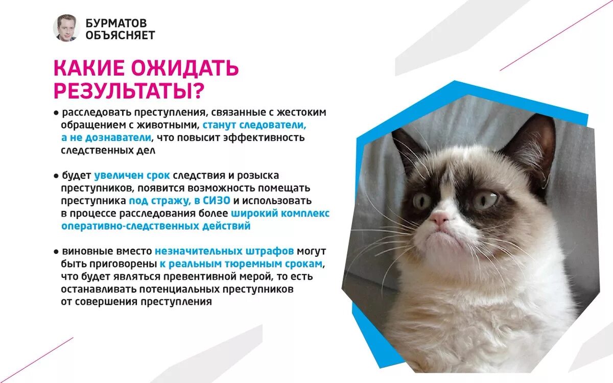 Статья за издевательства животных. 245 ук рф жестокое обращение с животными. жестокое обращение с животными статья. ст 245 ук рф жестокое обращение. статьи по обращению с животными.