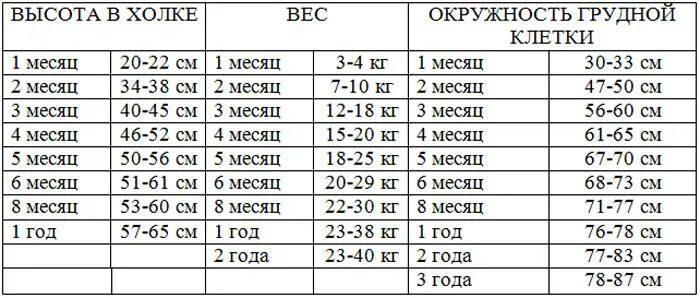 Сколько весит овчарка в год