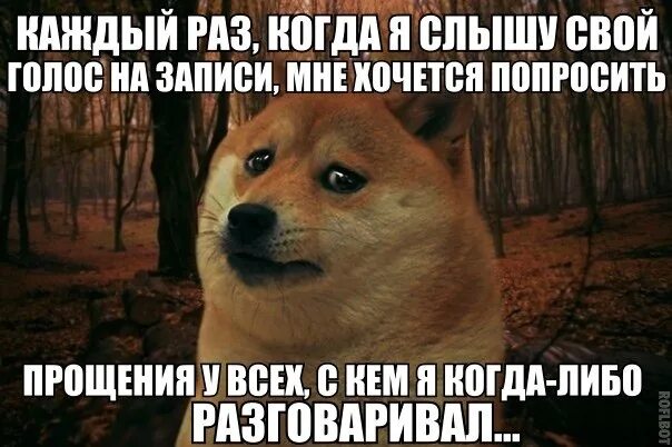 А почему мне не слышно