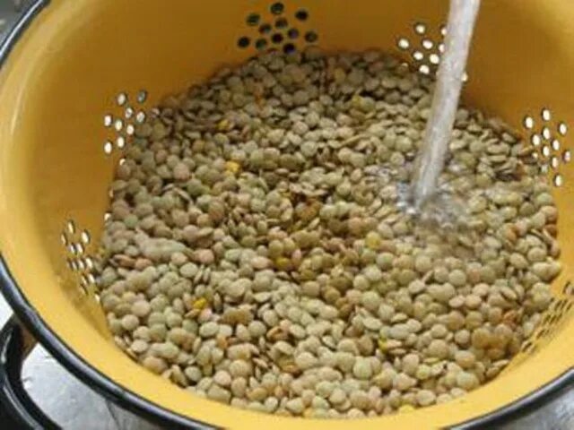 Чечевица после варки. Промывают ли чечевицу. Промывают ли чечевицу. Чечевица после варки. Промывают ли чечевицу.