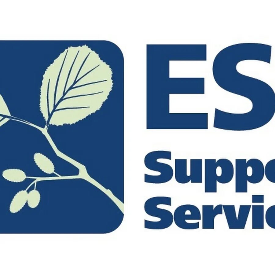 Есс групп. Логотип есс. ess logo. есс. support.