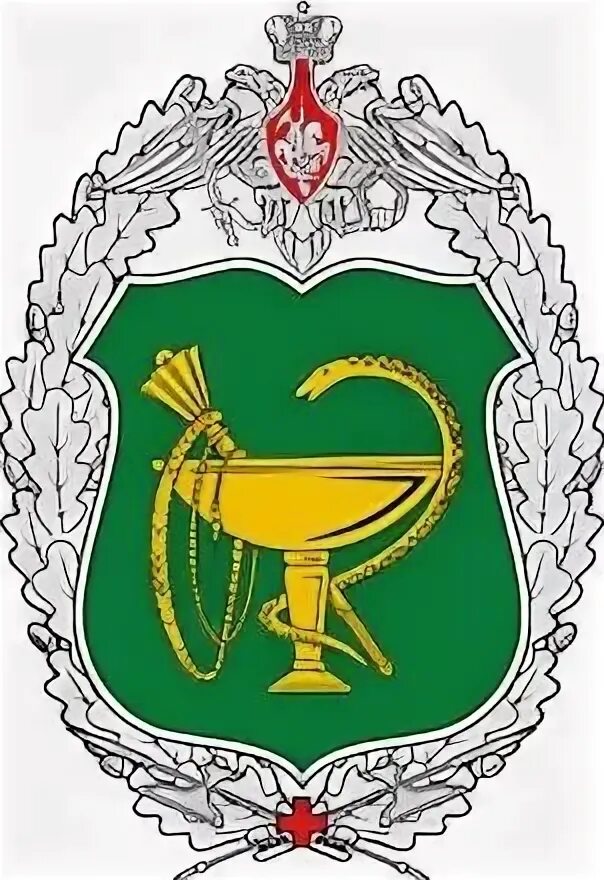 Главное военно-медицинское управление. Медицинский менеджмент. Военно-медицинское управление. Управление здравоохранением. Главное управление медицинской службы.