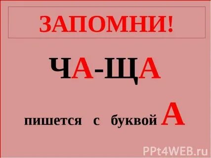 Слово л ча