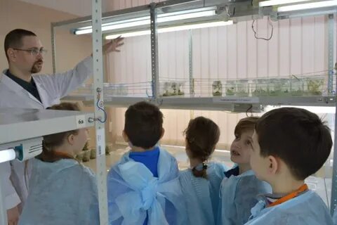 Академия научная система