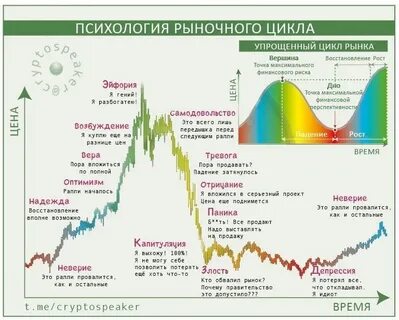 Какой сейчас цикл