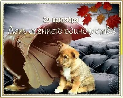 Когда праздник одиноких