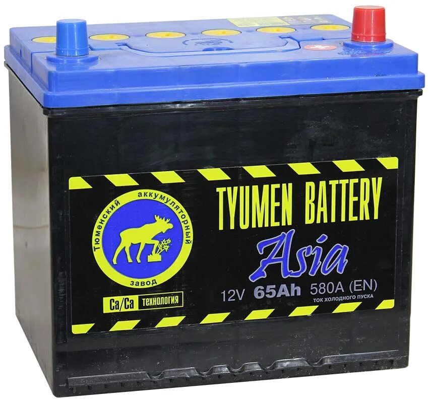 P asia. Аккумулятор Tyumen 65 Ah 580 a Battery Asia ОП. Тюмень АКБ 65 Азия. Автомобильный аккумулятор Tyumen Battery Asia 65 Ач обр. Пол. 580a (232x173x225). Тюмень Азия 6ст-65ач.