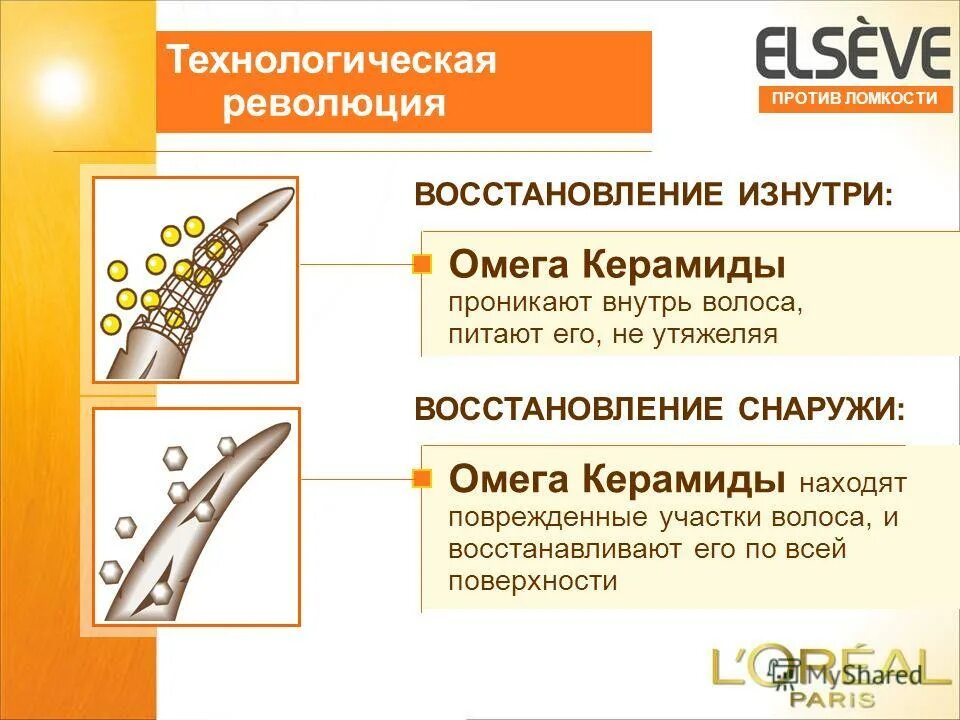 физиологическая регенерация костной ткани. физиологическая регенерация эпидермиса кожи. поверхностная регенерация. поверхностная регенерация. поверхностная регенерация.