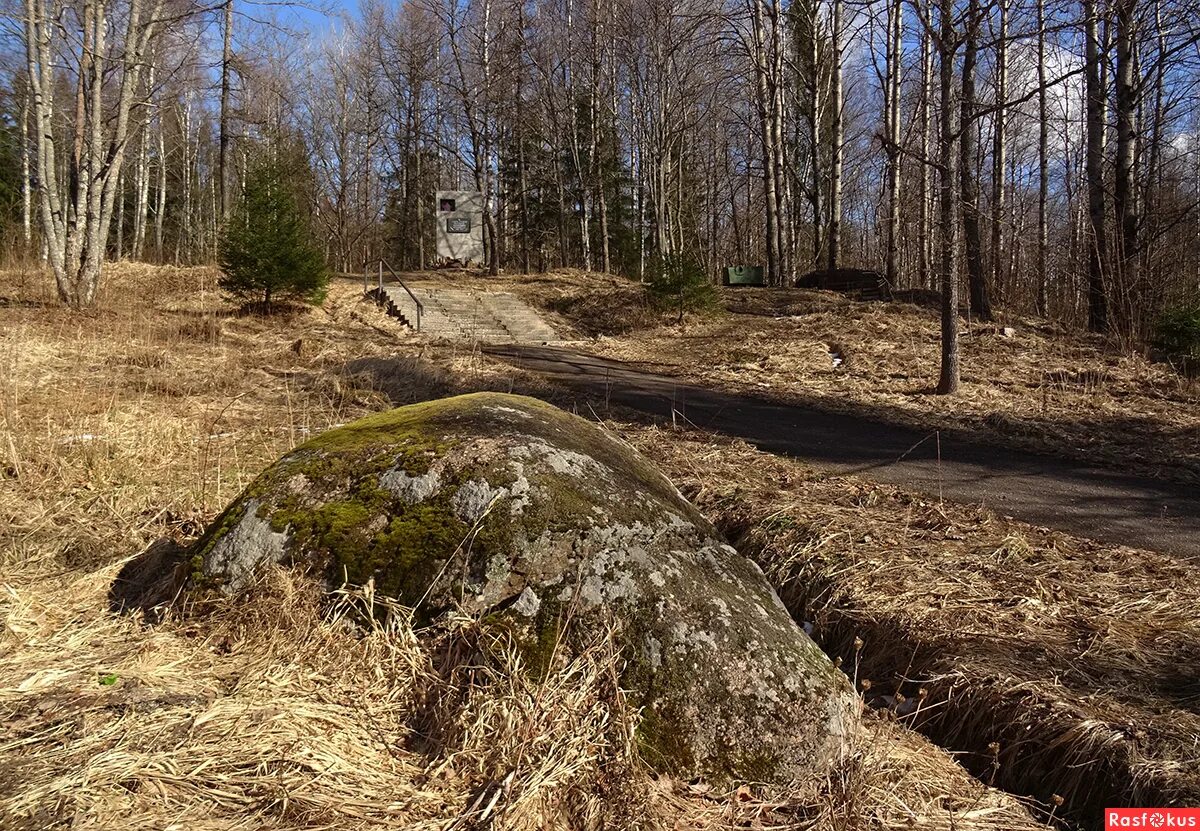 Высота 105 3. Гора колокольня Гостилицы. Мемориал Гостилицы. Гостилицы мемориал воинской славы. Гора колокольня 105.3.