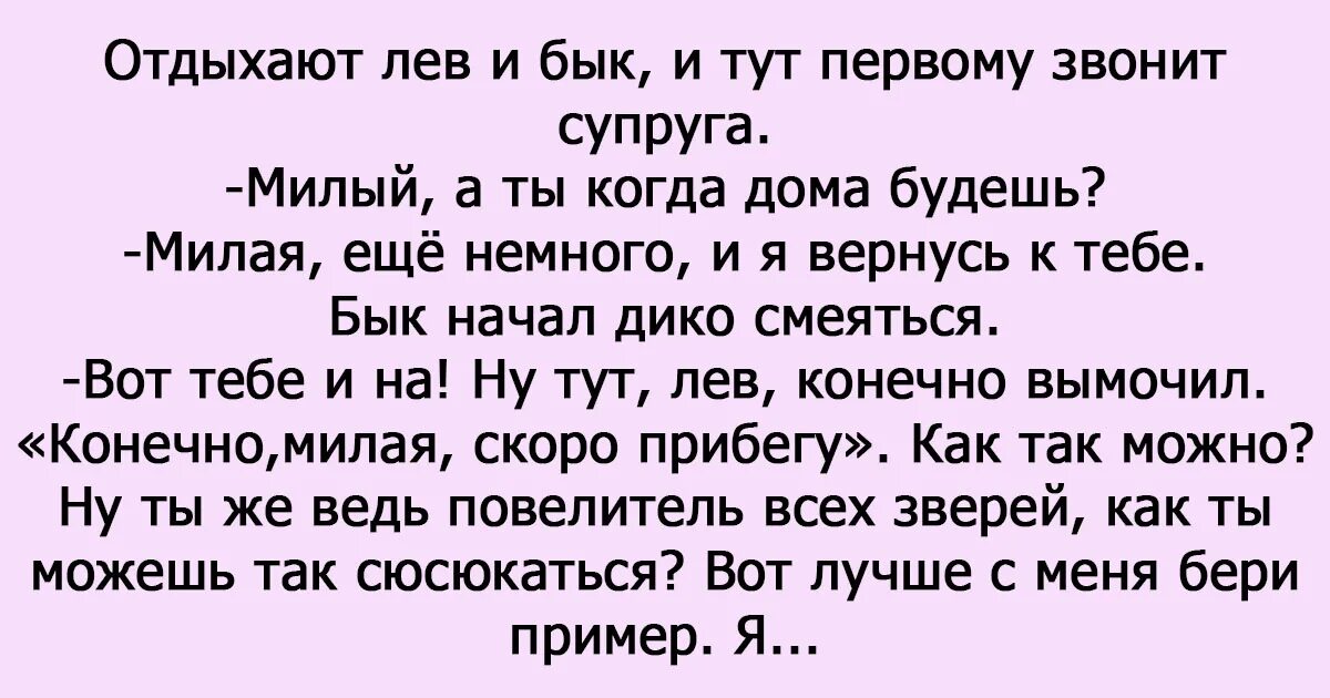 Притча про Льва и быка. Притча о быке. Притча про жену Льва и быка. Притча про Льва и быка жена львица. Притча про льва