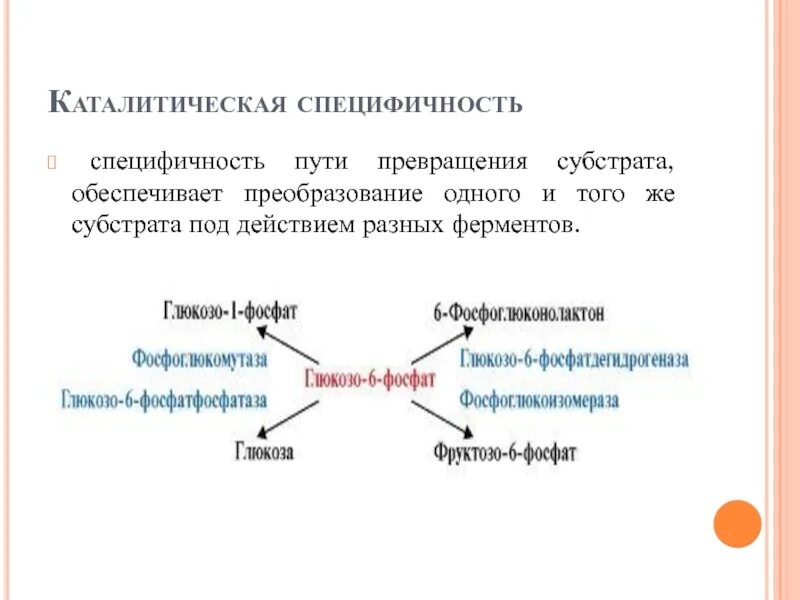 Абсолютной специфичностью к субстрату обладают