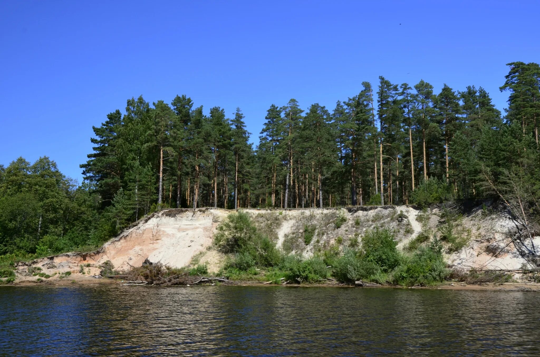 Река Молога Вологодская область. Река Молога Сандово. Рыбинское водохранилище яхтинг. Каменюки Рыбинское водохранилище. Молога притоки