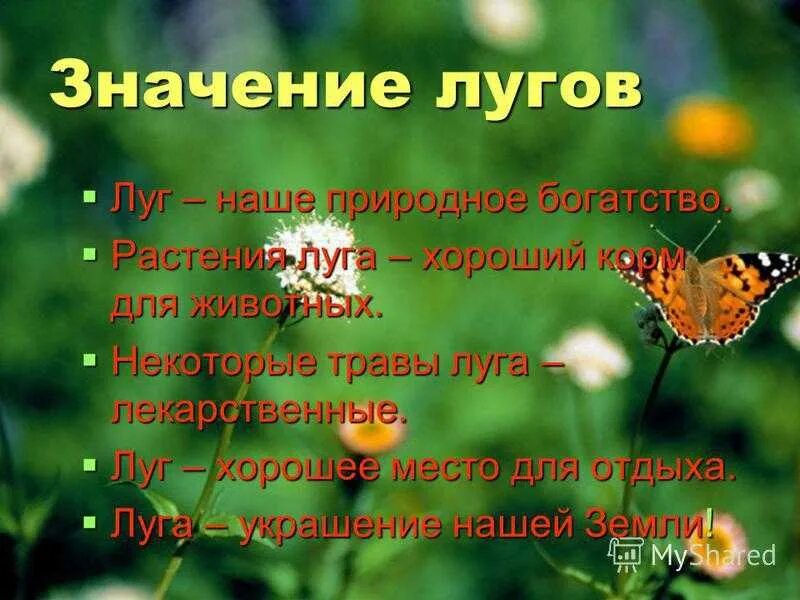 Луг природное сообщество 3 класс презентация. Обитатели лугов. Презентация жизнь Луга. Природное сообщество Луга. Сообщество луг животные и растения.