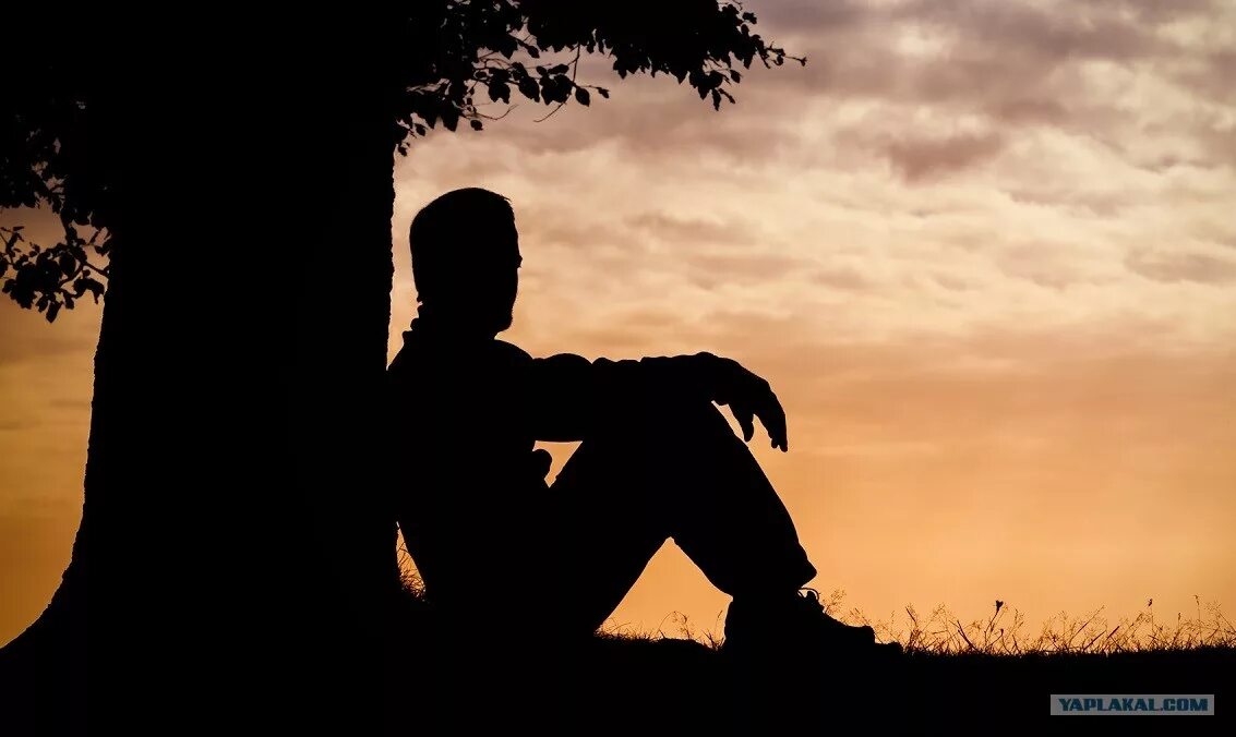 сидит под деревом.