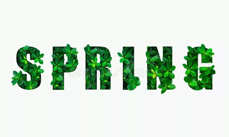 Слово Spring на зеленом фоне. Слово весну зеленая распечатать. Красиво написанное слово зеленый. Слово весну по буквам зеленая распечатать.