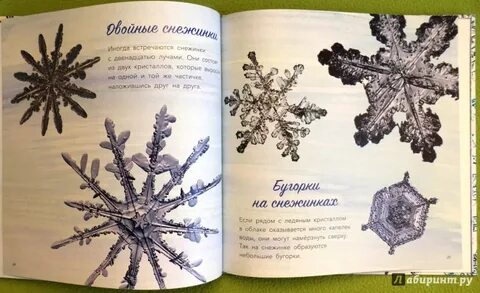 Зимнее чудо читать