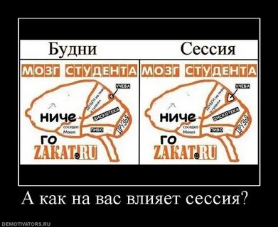 Сессия предложение