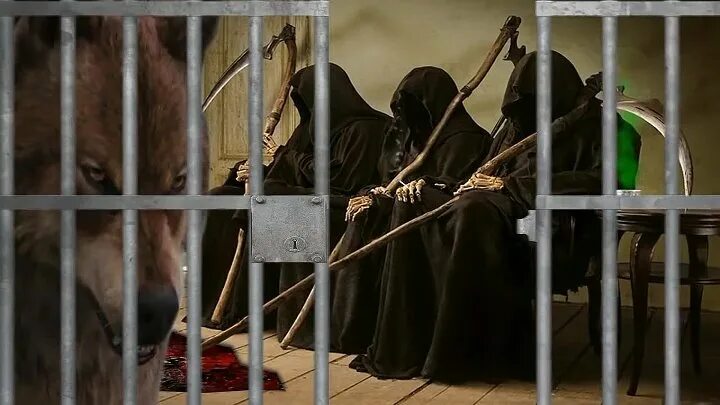 Ик-18 «полярная сова» в поселке харп. Посёлок харп полярная сова. Ик-18 особого режима «полярная сова». Фку 18 харп. Ик-18 «полярная сова» в поселке харп.