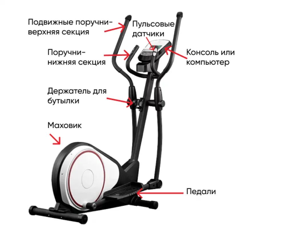 Эллиптический тренажер Flexter FL-220. Эллиптический тренажер Yamaguchi Elliptic. Эллиптический тренажер Импульс 500. Эллипсоид тренажер мышцы задействованы.