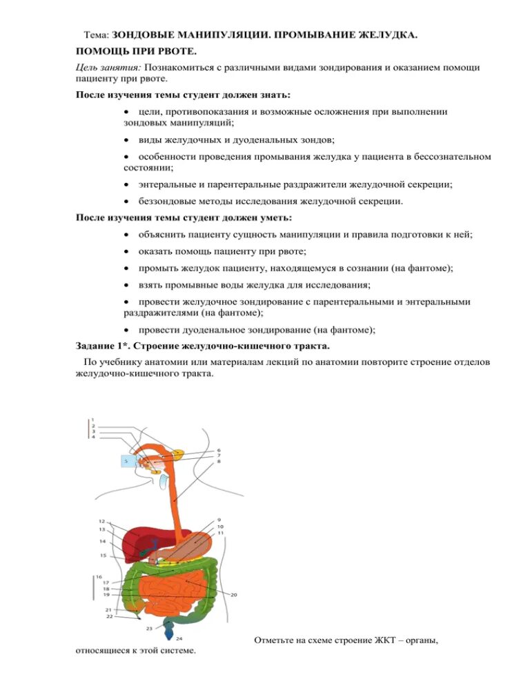 Зондовые манипуляции. Зондовые манипуляции промывание желудка. Цели проведения зондовых манипуляций. Тестовые задания зондовые манипуляции.