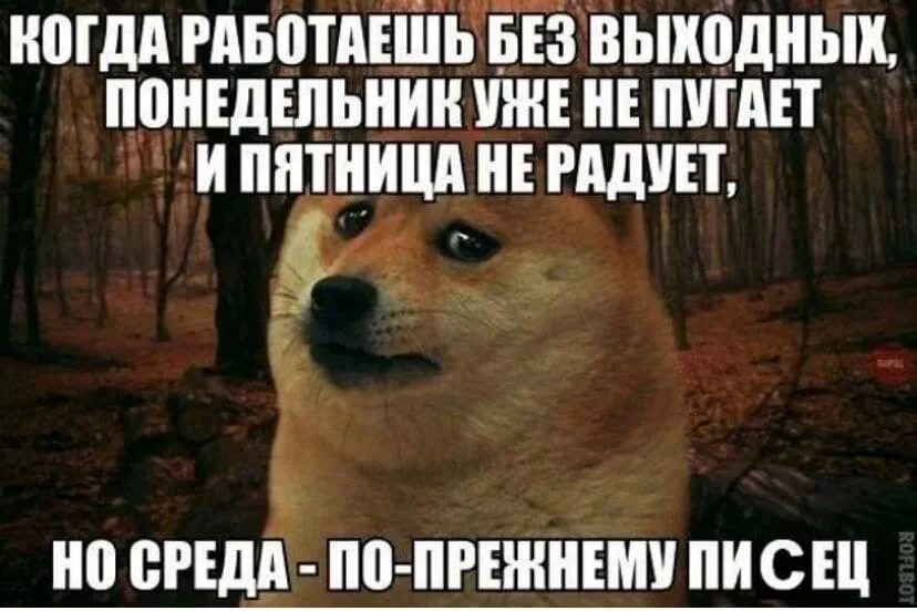 Когда работаешь без выходных. Работаем без выходных. Когда работаешь в выходные картинки прикольные. Когда работаешь в выходной день. Что будет если работать без выходных