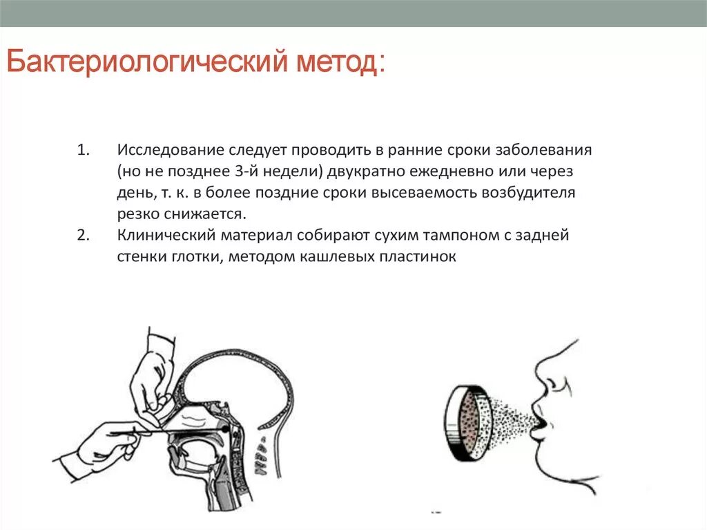 Техника исследования на коклюш методом кашлевых пластинок у детей. Забор материала на коклюш методом кашлевых пластинок. Коклюш методом кашлевых пластинок алгоритм. Метод кашлевых пластин коклюш.