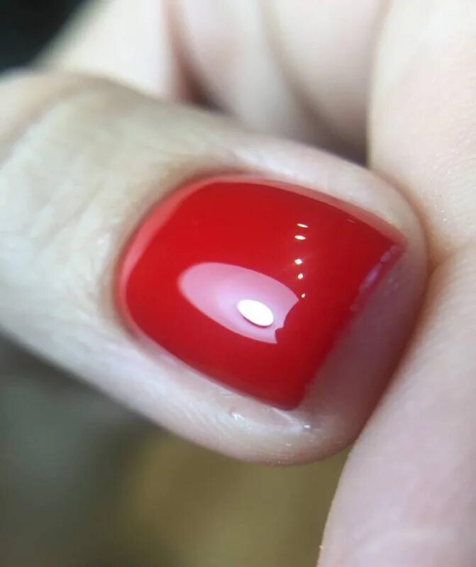 Nice nails коминтерна