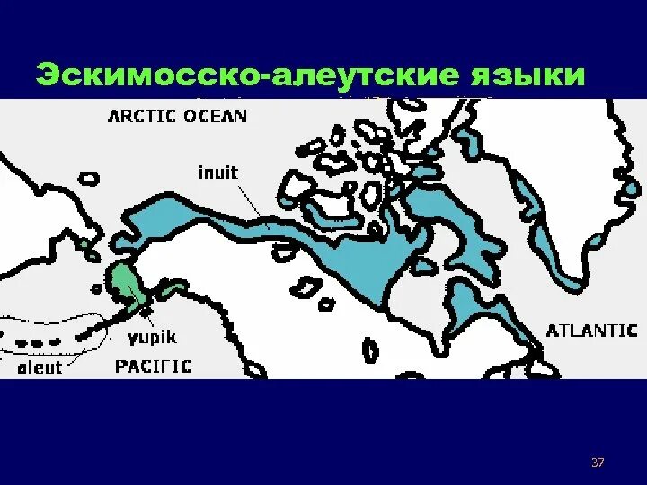 Эскимосско алеутская языковая семья. Эскимосско алеутская языковая семья. Эскимосско алеутская семья народы. Эскимоса алеутскач языковая группа. Эскимосско алеутская языковая семья.